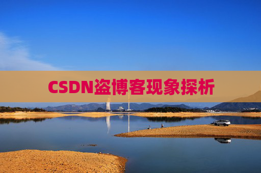 CSDN盗博客现象探析 CSDN盗博客现象探析
